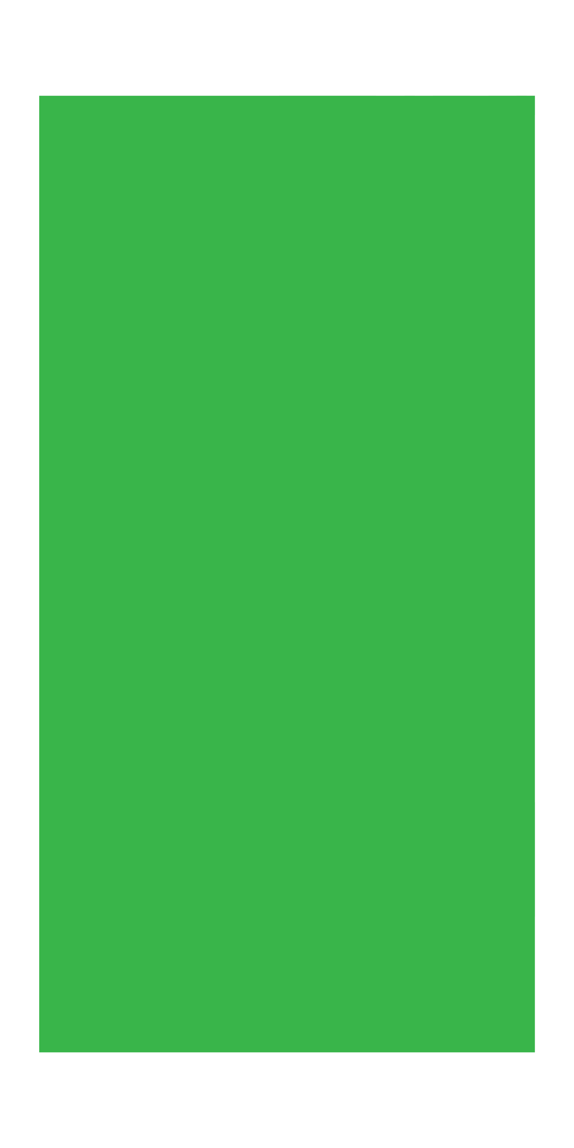 Blank Green Vert Banner